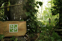 Cover image of "What is Geocaching?" video