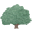Big Tree Country – Birnam Oak Geocoin
